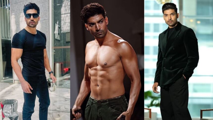 Gurmeet Chaudhary net worth