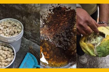 Conditions in a Momos Factory