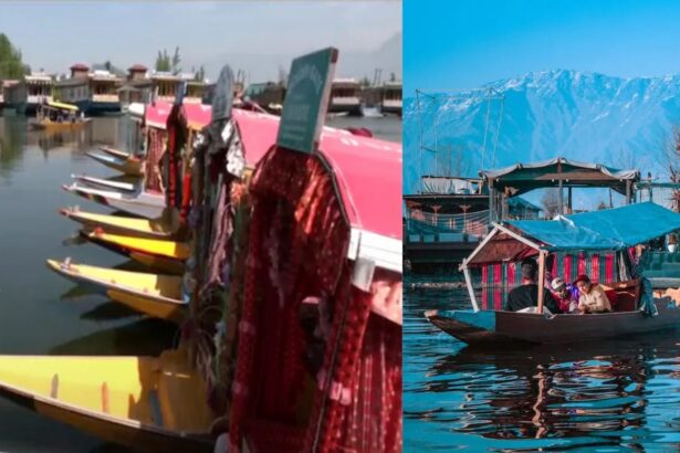 Dal Lake Falls Silent