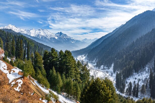 J&K Tourism Takes a Hit