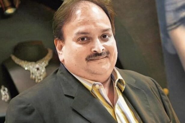 Mehul Choksi detained in Belgium