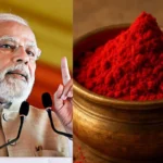 How India Orchestrated Operation Sindoor