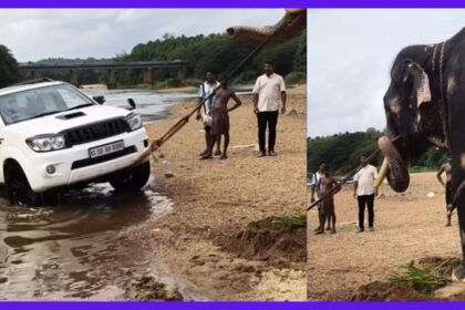 Elephant pulls over 2000 Kg SUV from river