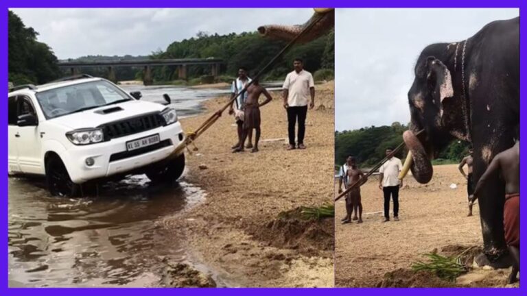 Elephant pulls over 2000 Kg SUV from river