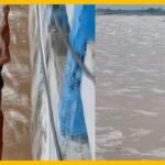 Dramatic Rescue in Bihar