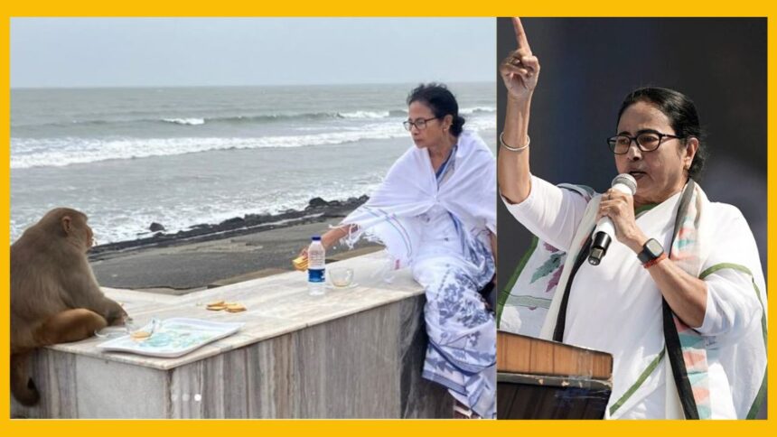 Mamata Banerjee seen with monkey